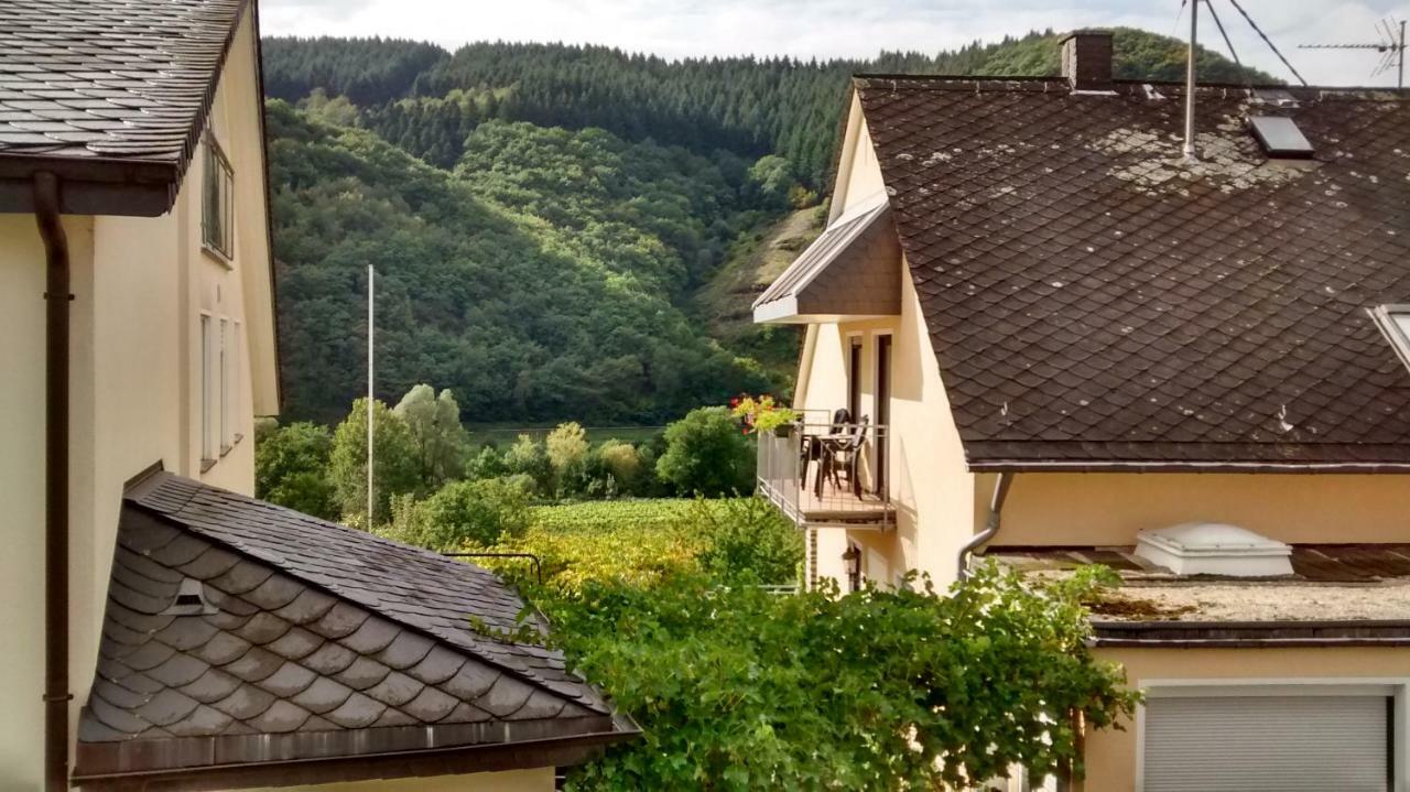 Weingut Sauer-Kettermann Villa Enkirch Luaran gambar