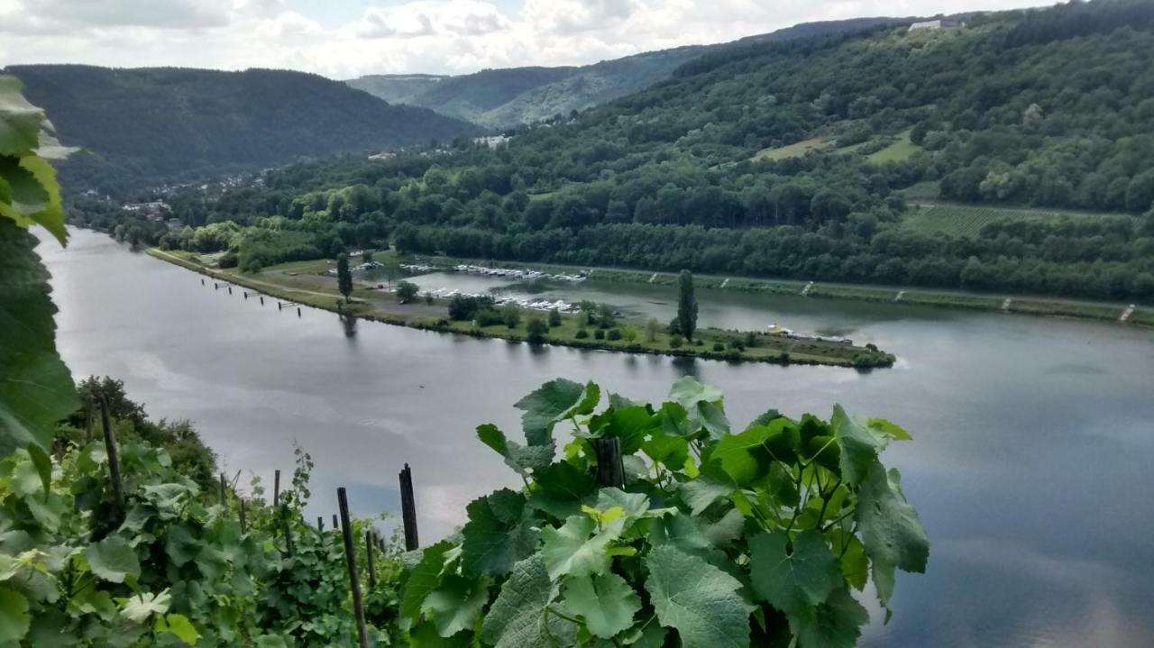Weingut Sauer-Kettermann Villa Enkirch Luaran gambar