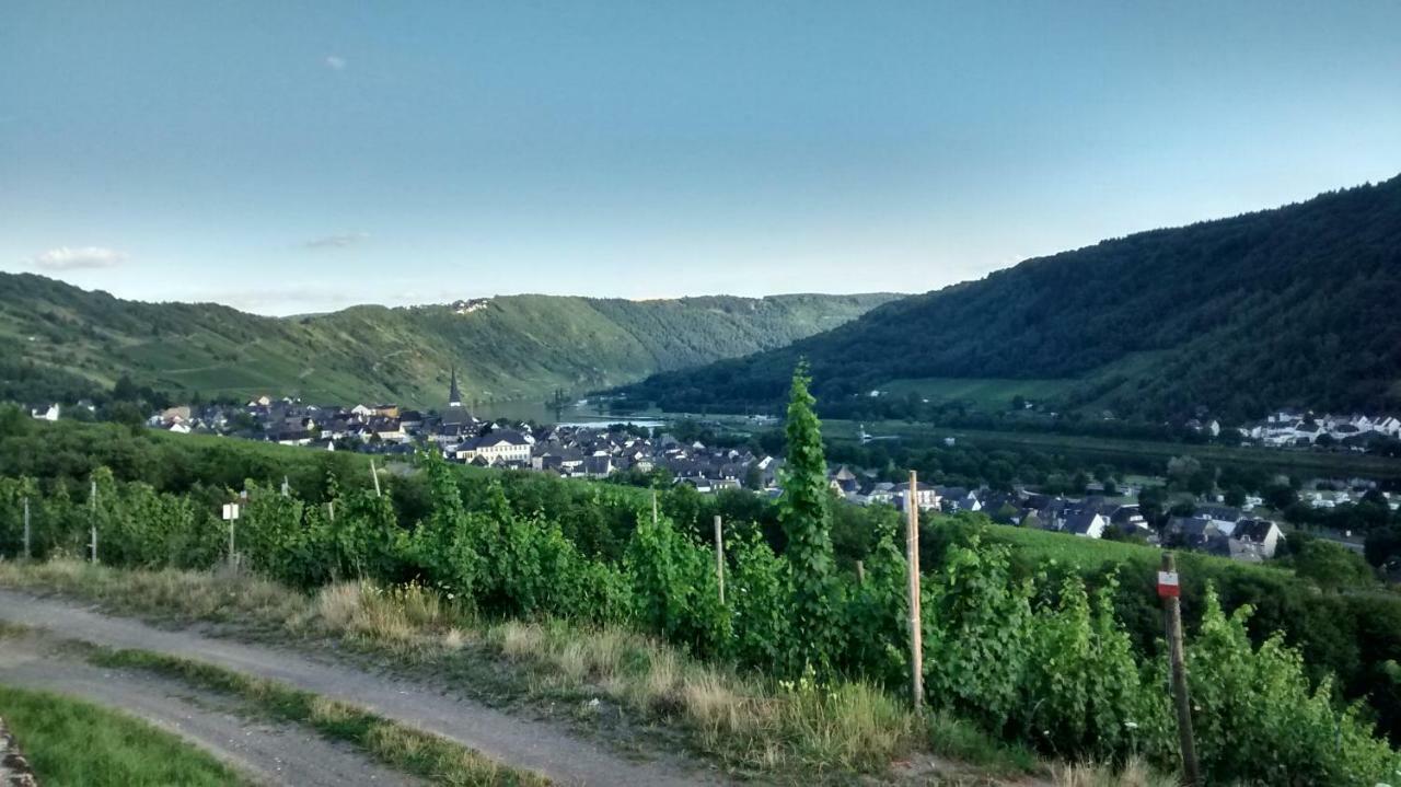 Weingut Sauer-Kettermann Villa Enkirch Luaran gambar