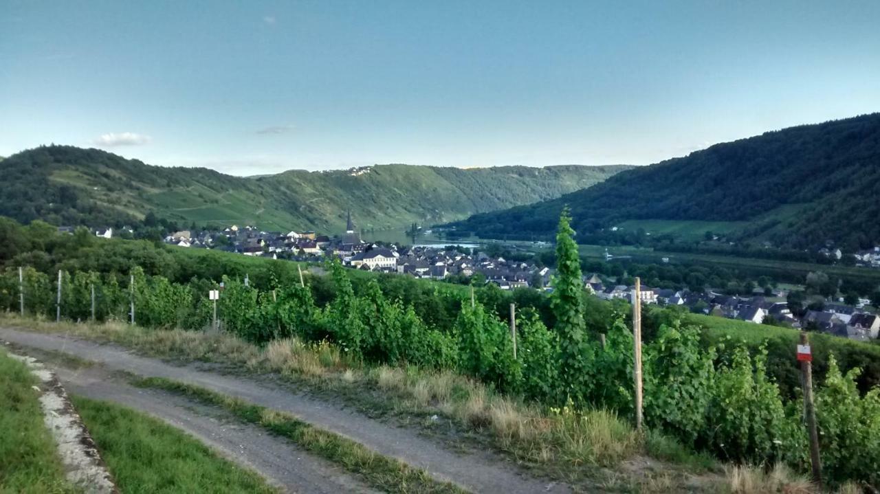 Weingut Sauer-Kettermann Villa Enkirch Luaran gambar
