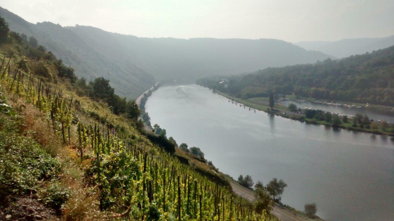 Weingut Sauer-Kettermann Villa Enkirch Luaran gambar